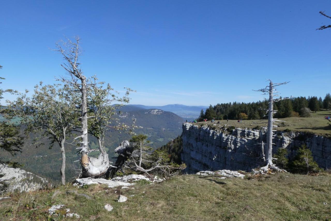 Bed And Breakfast La Petite Thielle Cressier Esterno foto